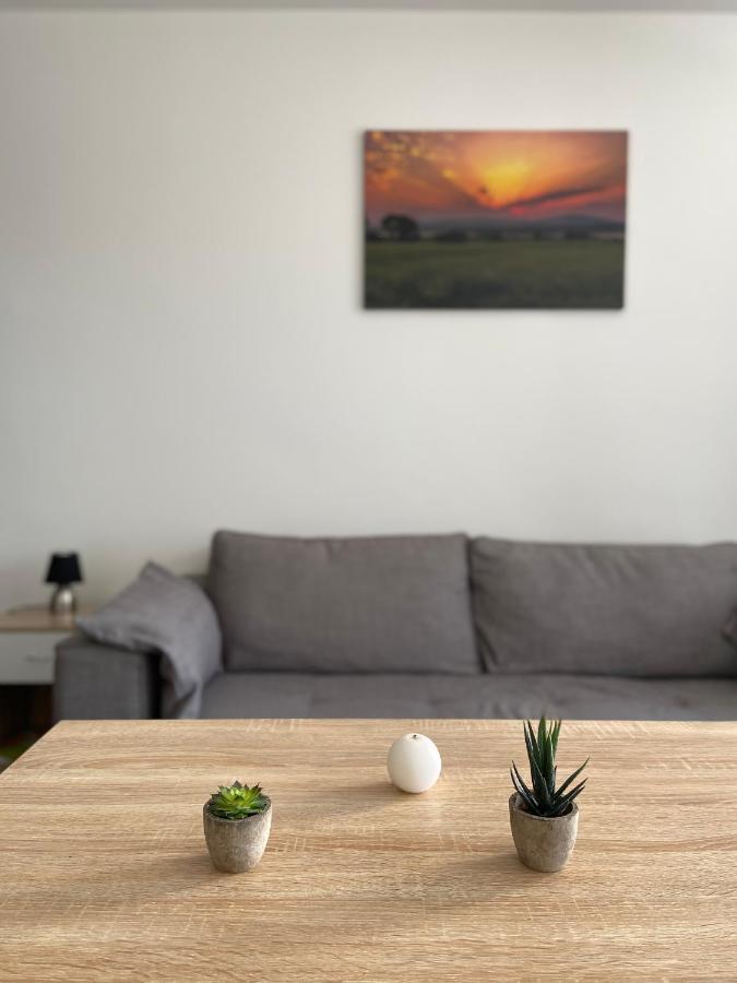 Grand Studio Confortable Et Spacieux Avec Terrasse Villeneuve-lès-Maguelonne Kültér fotó